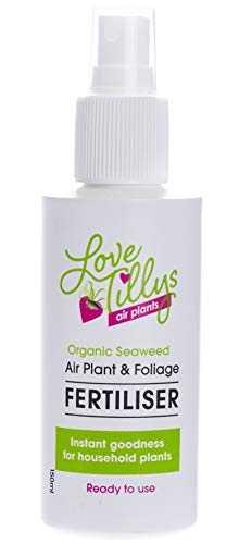 Biotope Aquatics Ltd - Organic Air Plant Fertiliser - 150ml in Spray Bottle - Food for Your House Plant, Air Plant, Cacti or Succulent