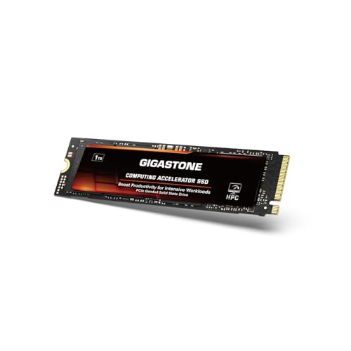GIGASTONE HPC Computing M.2 SSD 1TB PCIe 4.0 NVMe SSD zXgobt@LbVx R[fBO rbOf[^W^[N[hA5000MB/s \bhXe[ghCu SLCLbV