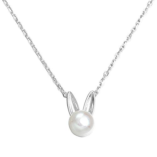 Collier argent S925 anti-allergie, chaîne de clavicule élégante pour femmes