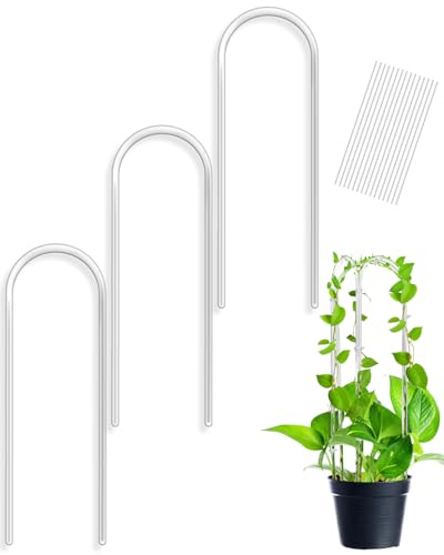 2 Pack U-Shaped Acrylic Hoya Trellis for Indoor Climbing Pla