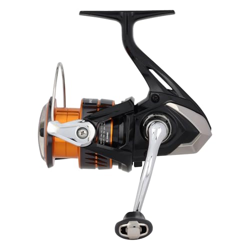 Shimano Nexave FE Travel Combo - Best Premium Option