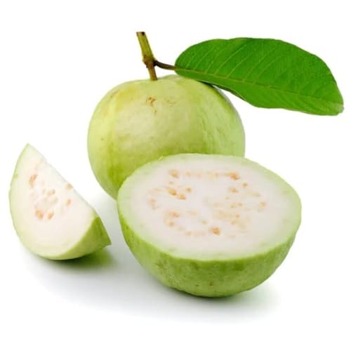 Image of Fresh Thai Guava, 1kg