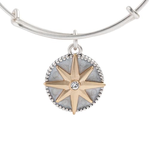 Alex and Ani Compass Charm Bangles2