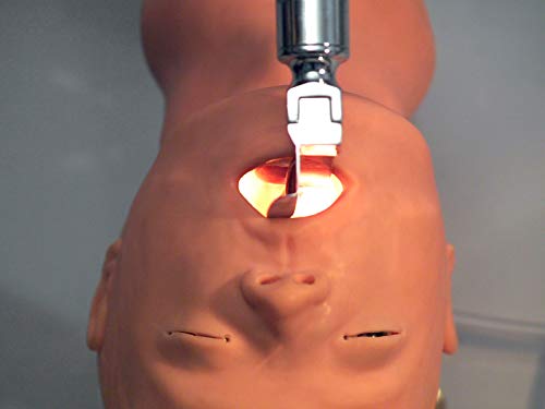 The Anatomy Lab Airway Management Trainer