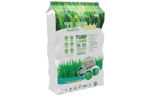 ᐅᐅ10/2020 Rotschwingel Samen - Die TOP Produkte im Test