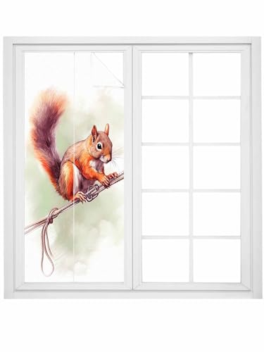 Película decorativa para ventana con ardilla, 24x59 in miniatura 5