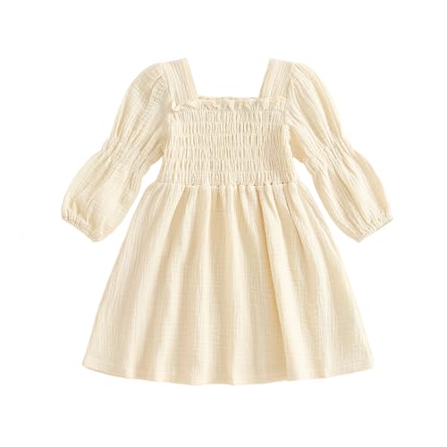 Toddler Girl Smocked Dress Lantern Long Sleeve Solid Color Casual