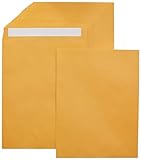 AmazonBasics Catalog Envelopes, Peel & Seal, 10 x 13 Inch, Brown Kraft, 250-Pack