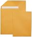 AmazonBasics Catalog Envelopes, Peel & Seal, 10 x 13 Inch, Brown Kraft, 250-Pack