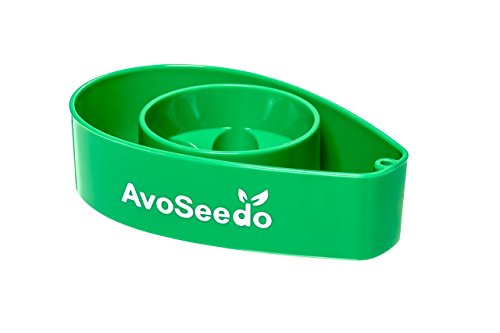 Avoseedo Avocado Tree Growing Kit, Practical Gifts For Women, Mom, Sister & Best Friend, Plant Indoors With Novelty Pit Grower Boat & Kitchen Garden Seed Starter (3Pack Green) #TOP6