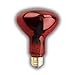 PET LIGHT BULB 150 WATTS R30 RED NIGHTLITE REPTILE LAMP SUPRA LIFE