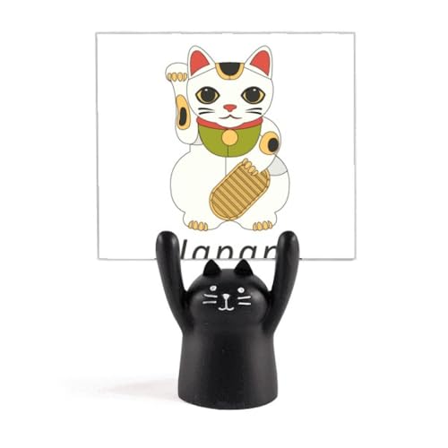 n̓{̍K^ȔL J[gD[LX^h^z_[