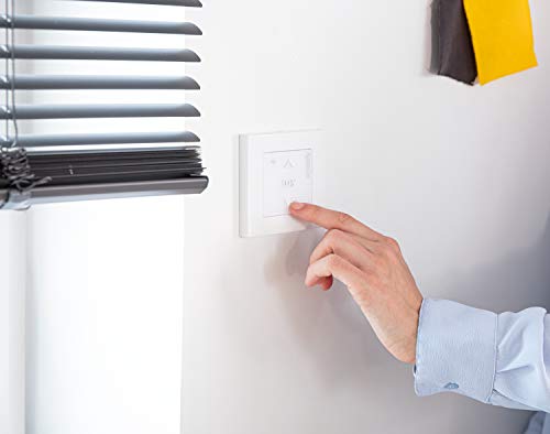 Somfy wandfunksender, Weiß, Medium