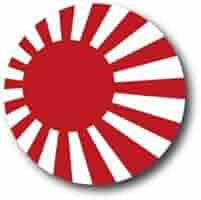 靖国神社参拝記念　旭日旗バッジ 雑貨 :: 旭日旗バッジ