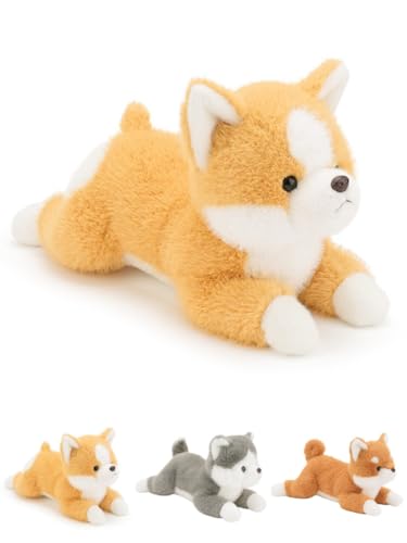 GtzbcivČ ʂ 傫   A  Ck NbV ӂӂ  a Mtg v[g ʂ NGCeBuȎql` o^Cf[Mtg (65cm,R[M[)