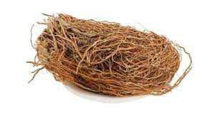Pure & Natural Banyan Root Powder (lat/jta) (100 gm) (B08FXY2VFM) Amazon Price History, Amazon Price Tracker