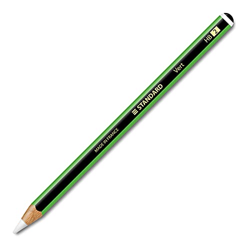 Funda de vinilo con diseño de rayas verdes y negras para Apple Pencil 2nd y Apple Pencil Pro, 2 unidades incluidas (rayas verdes y negras, S-12)