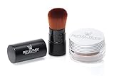 REFLECTIVES reflective natural pigments