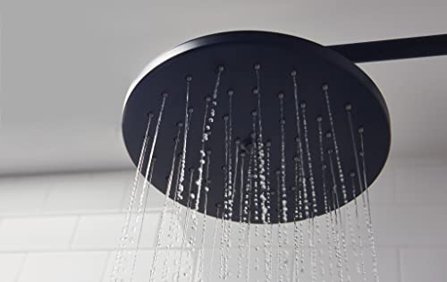 Moen Waterhill Wrought Iron One-Function 10-Inch Diameter Rainshower Showerhead, S112Wr #TOP2