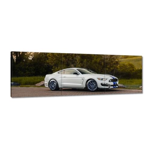 Peinture imprimée sur toile voiture de sport pour dynamiser un mur blanc 150x50 cm