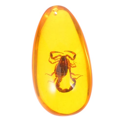 Mobestech Amber Insect Amber Specimen Insect Stone Specimen Amber Stone Amber Insect Specimen Stone Insect Specimen Amber Adornment Home Decor Insect Sample Insect Decor Resin