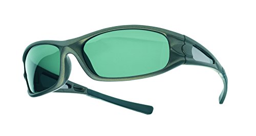 Balzer Polarisationsbrille Polavision 