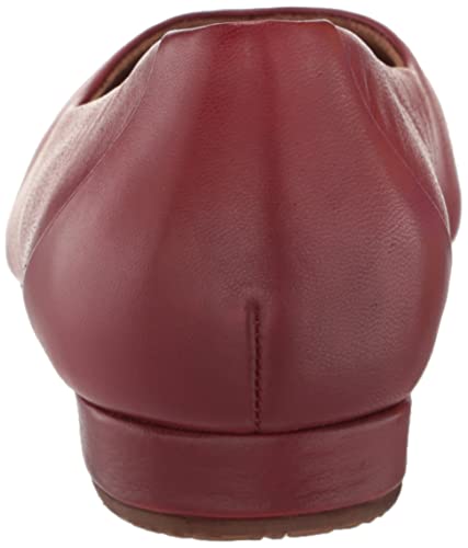 SoftWalk Women's Flats3