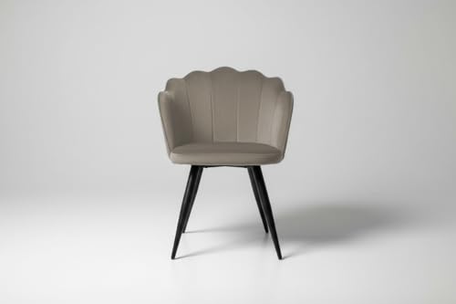 Image of Finch Fox Blake Luxurious Home Collection Dining Room Chairs in Beige Velvet Material & Stylish Design with Black Metal Powder Coated Legs