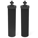2 Packs Premium coconut activated carbon filter Compatible with Black Purification Elements...