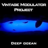 project e vintage clothing  Diving (Remastered)