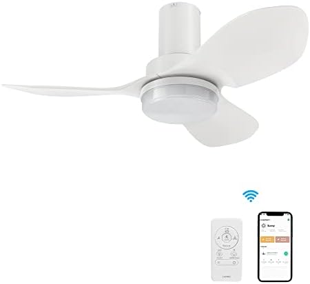 Arterki Low Profile Ceiling Fan with Light Remote Control, Indoor & Outdoor Ceiling Fan Work with APP, Alexa, Siri, Google Home, 36" Small Ceiling Fan with 10-speed DC Motor, Flush Mount Ceiling Fan