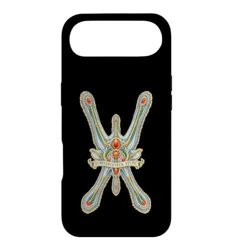 ECHINOPLUTEUS STUDY �E�j �c�� �����w �X�}�z�P�[�X iPhone Air �p