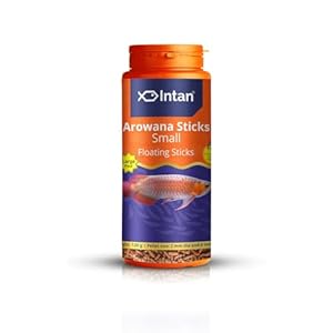 Intan Growel Arowana Sticks (Small 2X6Mm Floating)|120Gm-Highly Nutritious Ornamental Fish Food For Arowanas, Large Cichlids Like Peacock Bass & Oscars