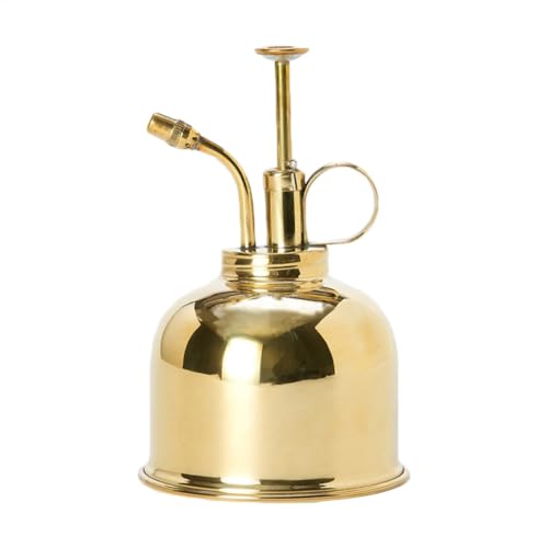 Rociador de plantas retro nórdico – Recipiente de mano de latón pulido espejo, accesorio de jardinería decorativo para el cuidado de suculentas, estilo vintage compacto | Inicio Estantes Balcones para