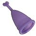 Hengsong Reusable Feminine Protection Cup Menstrual Cup 12 Hours (Small, Purple)