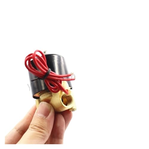 Vanne solénoïde BSP AC 220V DN6 pour contrôle d'eau intérieur