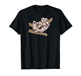 Königsschlange Königsboa Python Boa Imperator