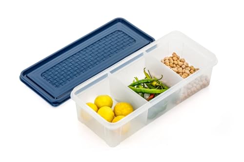 Image of MAGIC SPOON Multipurpose 3 Section Storage Container | Spice Box, Pickle Jar, Fridge Organizer, Dry Fruit, Vegetable & Kitchen Storage Container- 2000ml X 1 Pack (NAVY)