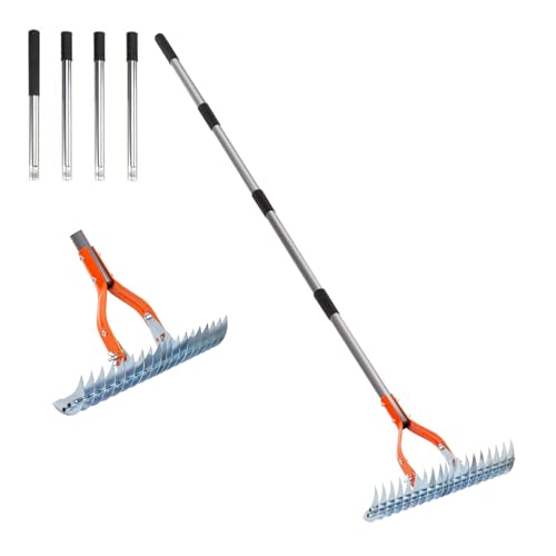 lawn thatching rake for fall lawn care