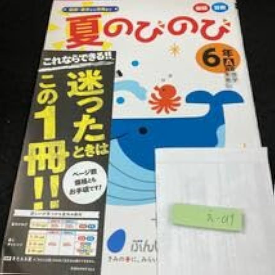 Amazon | えー019 基礎・基本から活用まで 夏のびのび 国語 算数