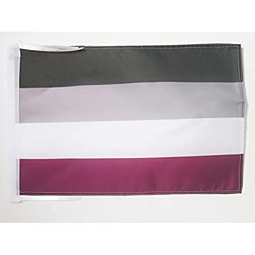 AZ FLAG - Flagge Regenbogen Geschlechtsloser - 45x30 cm Mit Kordel - Asexualität Fahne 30 x 45 Cm - Flaggen