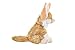 Wild Republic Fennec Fox Plush, Stuffed Animal, Plush Toy, Gifts for Kids, Cuddlekins 8 Inches