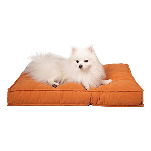 Wellyelo Dog Beds For Extra Small Dogs Cat Bed For Indoor Cats Dog Crate Pad Pet Bed Puppy Bed Machine Washable (20X15X3, Orange) #TOP19