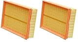 Wix Air Filter Panel - 49053 (Pack of 2)