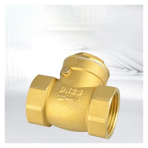 Evite retornos de agua con la válvula de retención horizontal DN40 5