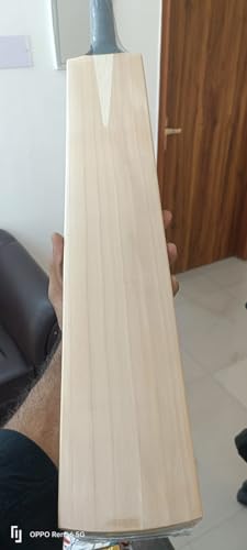 Image of SS English Willow Cricket bat Full Size