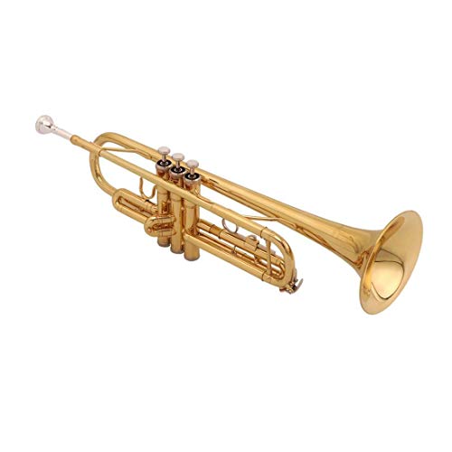 Trompete c/Estojo SFT6418L Shelter