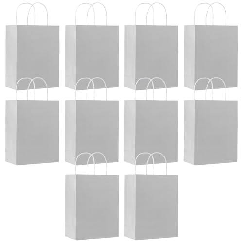 SHUBEIEUMI Paquete de 10 Bolsas de Regalo, Bolsas de Papel Kraft con Asas, 21 x 15 x 8 cm, Reutilizables Bolsas de Regalo para Embalaje Fiestas de Cumpleaños Bodas-Gris Plata