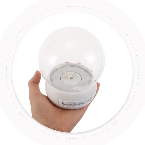 Cúpula de cristal transparente para flores preservadas y pequeña vitrina 5