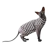 Kotomoda T-shirt en velours côtelé pour chat sphynx et chats nus (rayures marron, taille XS)